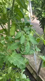 20260725 (6).webp