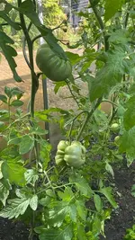 20260725 (8).webp