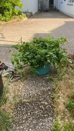 20260725 (9).webp