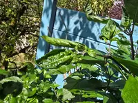 20260819_142450.webp