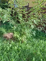 20260902_174847.webp