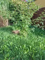 20260902_174835.webp