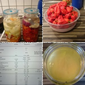 Fermentieren