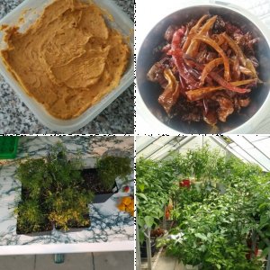 Raderboy1983`s Saison 2017