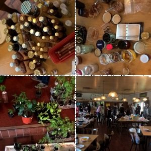 Pflanzentausch Oberursel 2017