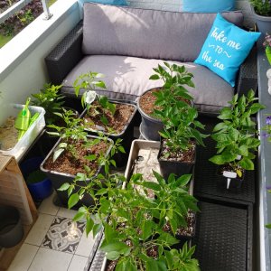 16.5. Work in progress