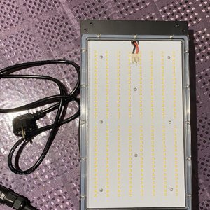 LED Quantum Board