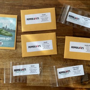 Saatgut Pepper Joe