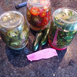 31.7. Jalapeño el Jefe Überbleibsel