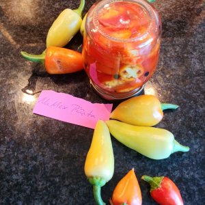 31.7. NuMex Piñata Überbleibsel