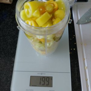 Chilis in den Mixer und abwiegen