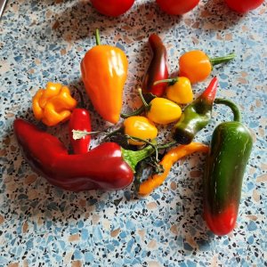 Chili Mix.jpg