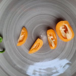 Aji Jobito 03