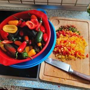2000g Chilis
