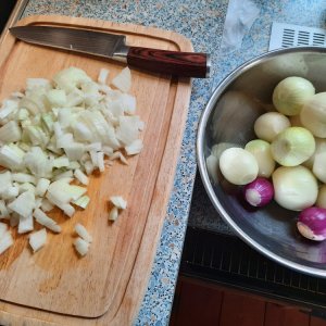 1500g Zwiebeln