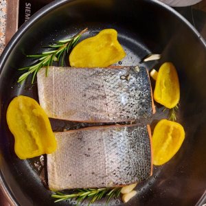 Lachs
