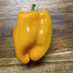 Paprika, 15 Tage im Gemüsefach Kühlschrank