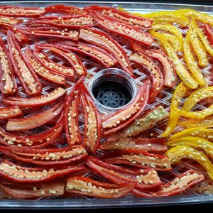 Cayenne