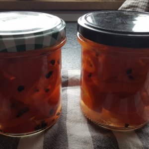 Rocoto Red