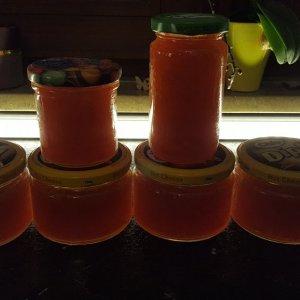 Rocoto-Zitronen Marmelade