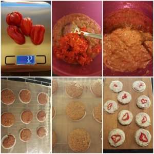 Habanero Lebkuchen