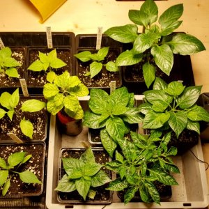 Die ersten 13er 2021