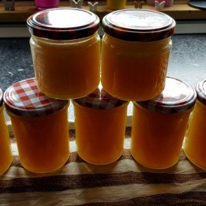 Rhabarber Marmelade