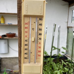 Temperatur Gewächshaus, 23.05.2021