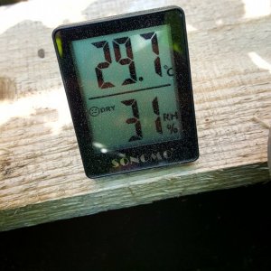 Knapp 30° unterm Schattiernetz