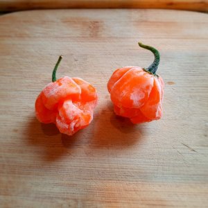 Tk Bahamian Goat Pepper 01