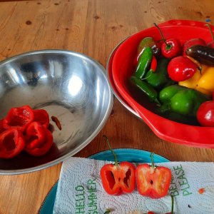 Relish 11092021 01.jpg