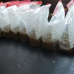 Auberginen portioniert zum einfrieren