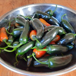 Jalapeño Ernte 24092021a.jpg