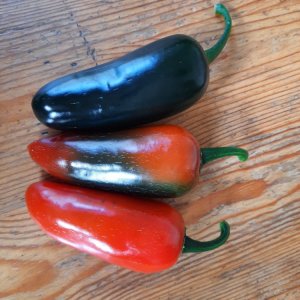 Jalapeño El Jefe 01.jpg