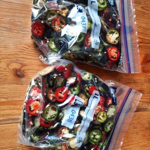 Jalapeño Purple 02.jpg