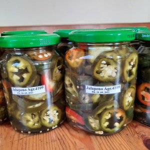 Jalapeño Slices 02.jpg