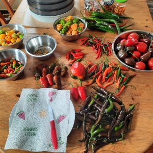 Heimarbeit 26092021.jpg