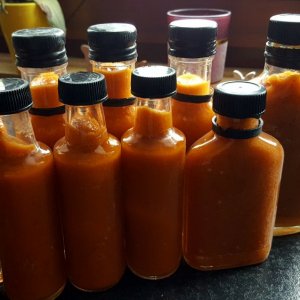 Trinidad Scorpion Gelb, Trinidad Scorpion Chocolat, 7 Pod Douglah - Mango