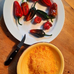 vorbereitete Chilis