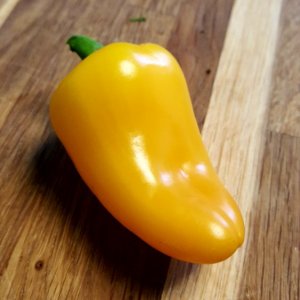 Snack Pepper Yellow