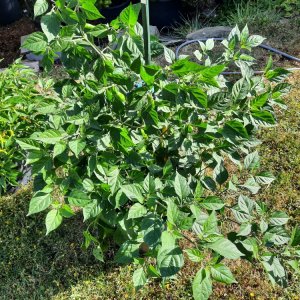 PI215734 080822 01.jpg