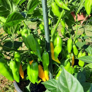 PI215734 080822 02.jpg