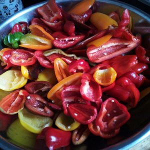 Relish 270822 01.jpg