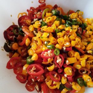 Relish 270822 03.jpg