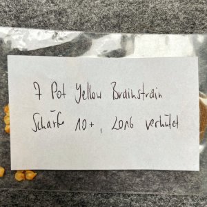 7 Pot Yellow Brainstrain, 2016, verhütet