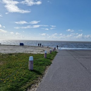 20230425_162944.jpg