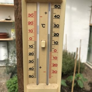 Temperatur Mittag Gewächshaus 29.04.