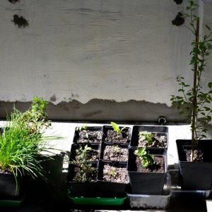 Balkon 02 08052018