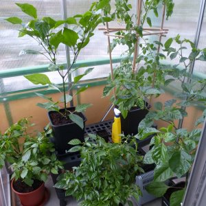 Balkon-GWH_20130506