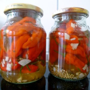 Eingelegte_Fatalii